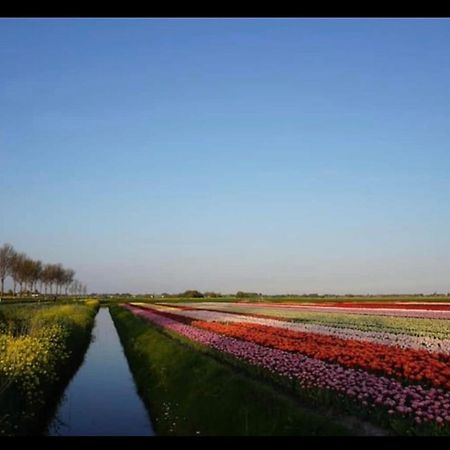 Cozy Chalet In Opmeer Near Amsterdam And Beach 외부 사진