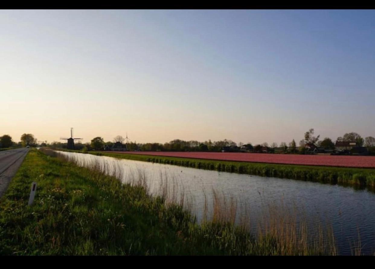 Cozy Chalet In Opmeer Near Amsterdam And Beach 외부 사진